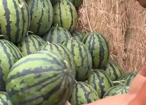 上海教师吃瓜黑料,上海教师吃瓜黑料背后的真相